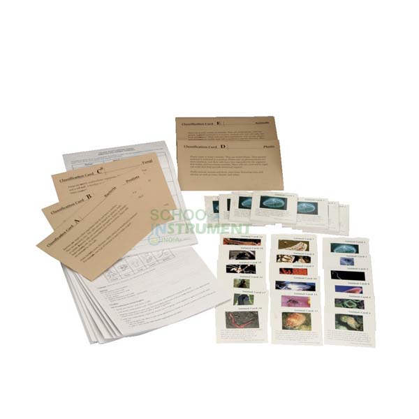 Classifying Animals Kit